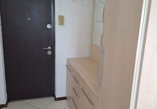 Hol 1 536x370 - Vand garsoniera in Calea Bucuresti Craiova