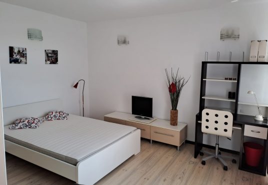 Living 1 536x370 - Vand garsoniera in Calea Bucuresti Craiova