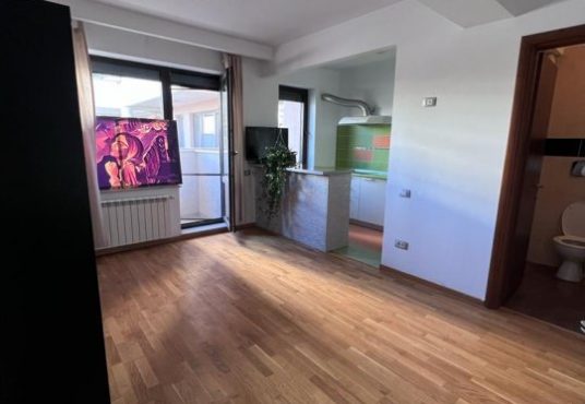 garsoniera de vanzare bucuresti baneasa 203865425 536x370 - GARSONIERA, ZONA PIPERA