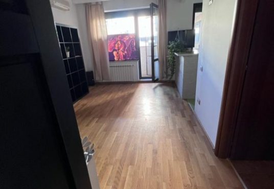 garsoniera de vanzare bucuresti baneasa 203865432 536x370 - GARSONIERA, ZONA PIPERA