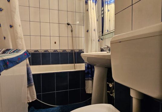 08864283 76cf 4801 8da1 53447ef9c943 536x370 - Inchiriere garsoniera Hanul Drumetului