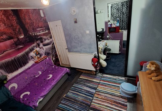 20250114 162759 536x370 - Garsoniera de vanzare Ferentari