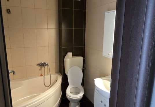 24dc9f31 8292 4c1f 9975 1f35c327410c 536x370 - Inchiriere garsoniera Militari Residence