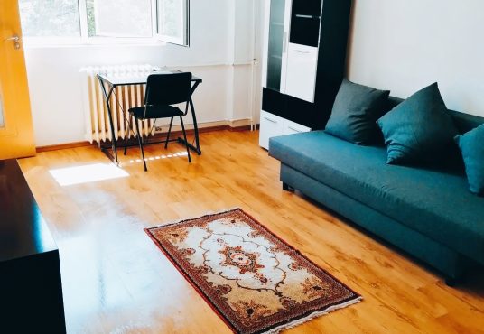 IMG 20250115 091720 536x370 - Particular inchiriez garsoniera la 100 metri de metrou Crângași