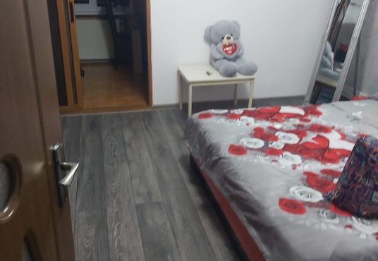 06909f15 03ee 4533 8aab 54e1cb924ba9 536x370 - Cand garsonieră confort 1