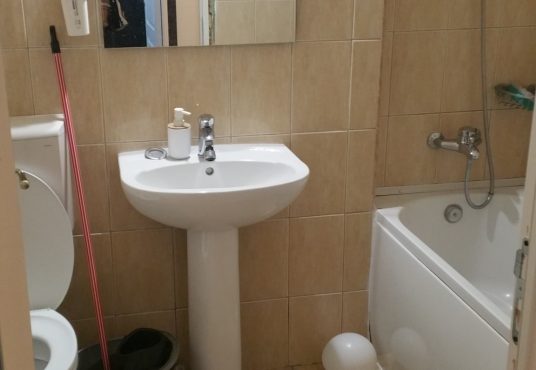 20250216 220105 536x370 - Inchiriez Garsoniera Titan - Rasarit de Soare