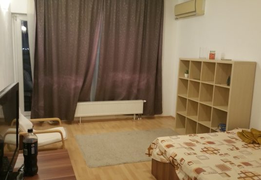 20250216 220202 536x370 - Inchiriez Garsoniera Titan - Rasarit de Soare