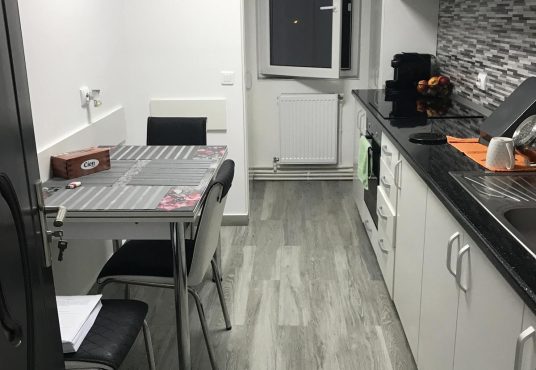 82f1afb5 a7a5 4be8 b561 25e11b0c3ce2 536x370 - Garsoniera 44 mp2 , loc Viisoara