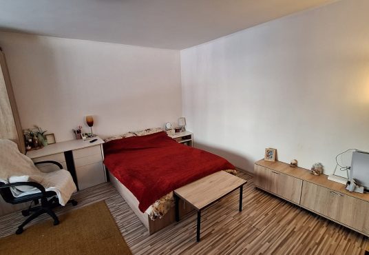 IMG 20250224 WA0010 536x370 - Garsoniera  Virtuții Lujerului