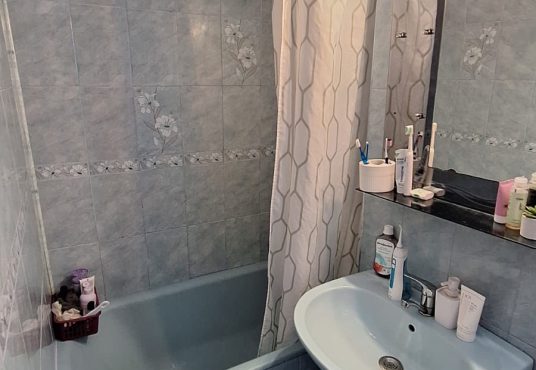 IMG 20250224 WA0014 536x370 - Garsoniera  Virtuții Lujerului