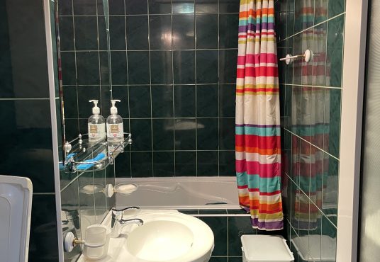 IMG 4118 536x370 - Garsoniera Timpuri Noi