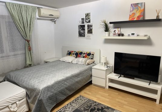 IMG 4124 Large 536x370 - Garsoniera Timpuri Noi