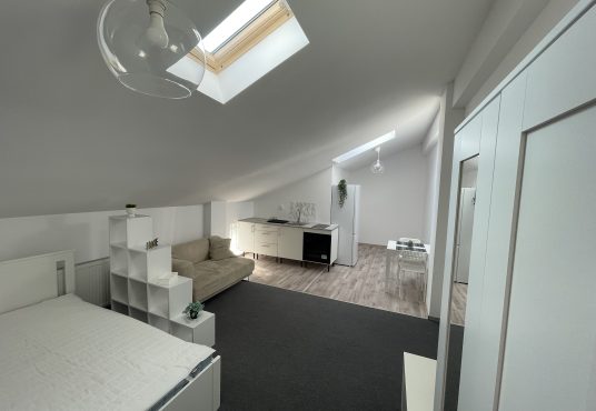 IMG 9850 536x370 - Inchiriez garsoniera, la curte, prima inchiriere