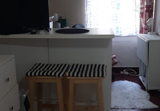 Imagine WhatsApp 2025 02 22 la 14.03.52 652bc4e4 1 536x370 - Garsoniera centrala