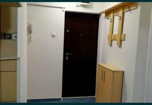 WhatsApp Image 2025 02 18 at 22.15.22 51a1d2df 536x370 - Garsoniera Crangas