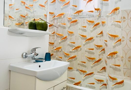 WhatsApp Image 2025 02 18 at 22.15.23 231de62d 536x370 - Garsoniera Crangas