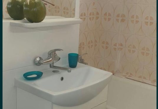 WhatsApp Image 2025 02 18 at 22.15.23 7a9391d4 536x370 - Garsoniera Crangas