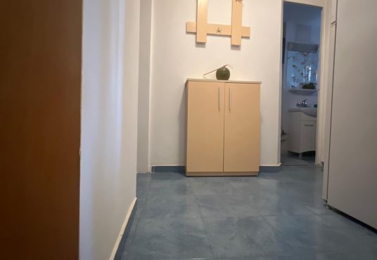 WhatsApp Image 2025 02 18 at 22.15.24 0a0d2059 536x370 - Garsoniera Crangas