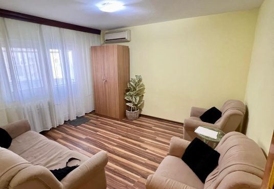 WhatsApp Image 2025 02 18 at 22.15.24 208f8f1c 536x370 - Garsoniera Crangas