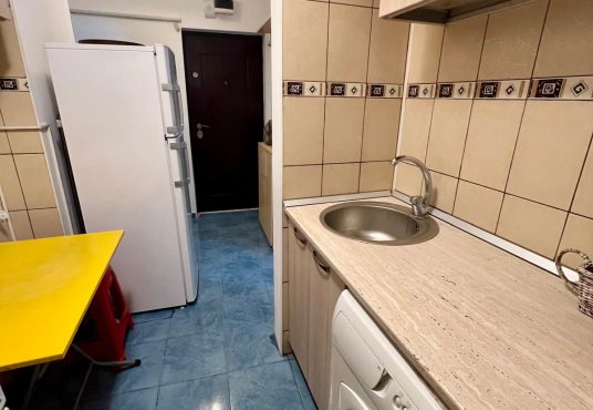 WhatsApp Image 2025 02 18 at 22.15.24 5f386784 536x370 - Garsoniera Crangas