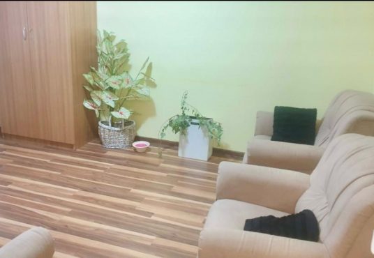 WhatsApp Image 2025 02 18 at 22.15.24 79be3311 536x370 - Garsoniera Crangas