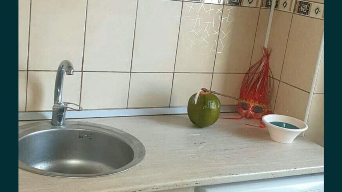 gars1 1200x675 - Garsoniera Crangas