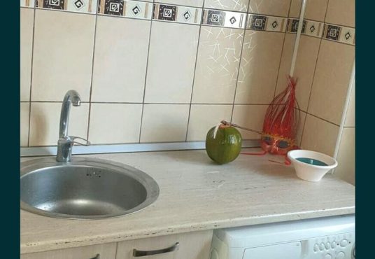 gars1 536x370 - Garsoniera Crangas