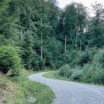 10 150x150 - Garsoniera cocheta de vanzare Brasov-zona Noua (Direct proprietar)