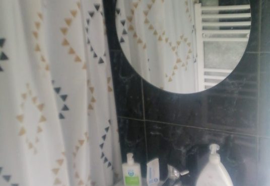 8 536x370 - Garsoniera sector 1 !