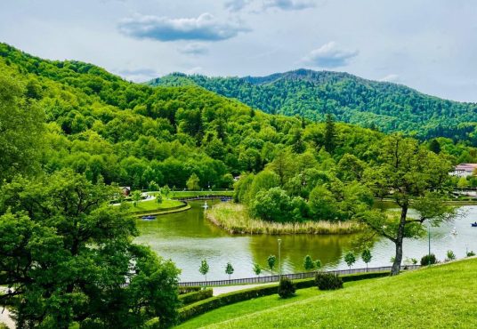 9 536x370 - Garsoniera cocheta de vanzare Brasov-zona Noua (Direct proprietar)