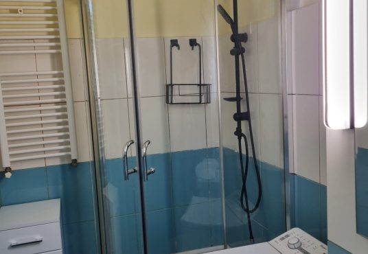 IMG 20250527 WA0028 536x370 - Inchiriez garsoniera spatioasa zona Nerva Traian - Vitan Mall