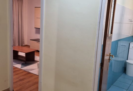 IMG 20250527 WA0032 536x370 - Inchiriez garsoniera spatioasa zona Nerva Traian - Vitan Mall