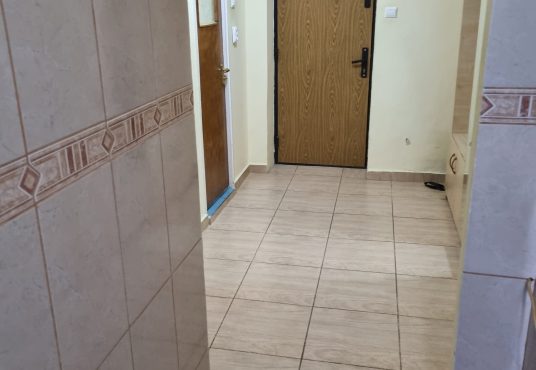 IMG 20250527 WA0033 536x370 - Inchiriez garsoniera spatioasa zona Nerva Traian - Vitan Mall