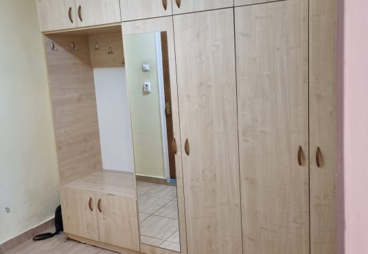 IMG 20250527 WA0035 536x370 - Inchiriez garsoniera spatioasa zona Nerva Traian - Vitan Mall