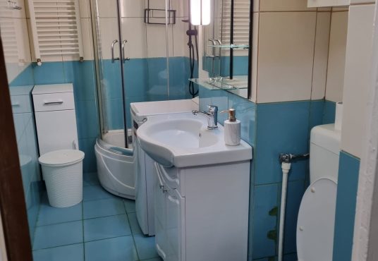 IMG 20250527 WA0037 536x370 - Inchiriez garsoniera spatioasa zona Nerva Traian - Vitan Mall