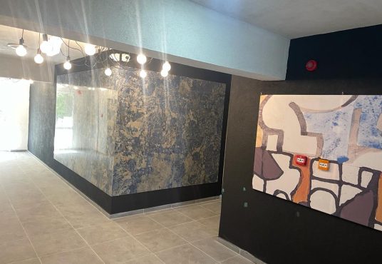 WhatsApp Image 2025 04 28 at 13.58.53 3 536x370 - Garsoniera militari COMPLEX MANIU 141  Metrou Pacii