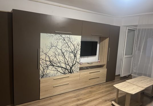 IMG 4803 536x370 - Vând garsonieră Prosper