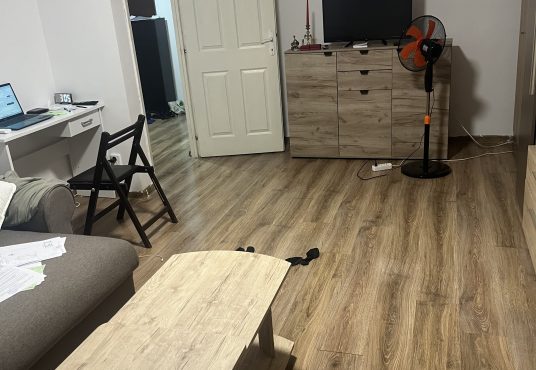 IMG 4806 536x370 - Vând garsonieră Prosper