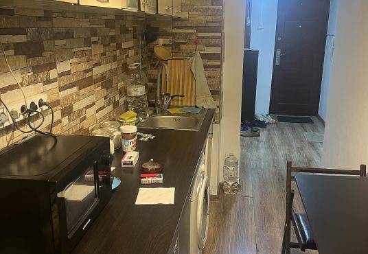 IMG 4809 536x370 - Vând garsonieră Prosper