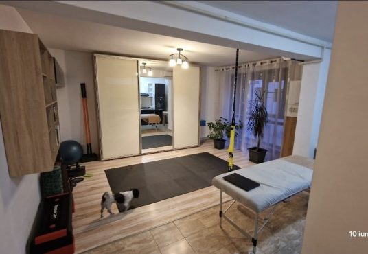 3dbdc14a 39d1 43d8 ab51 ce216d19b9e6 536x370 - Vand garsoniera apusului residence