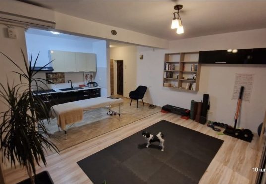 43624662 6a01 4831 9979 5c0553d7b576 536x370 - Vand garsoniera apusului residence