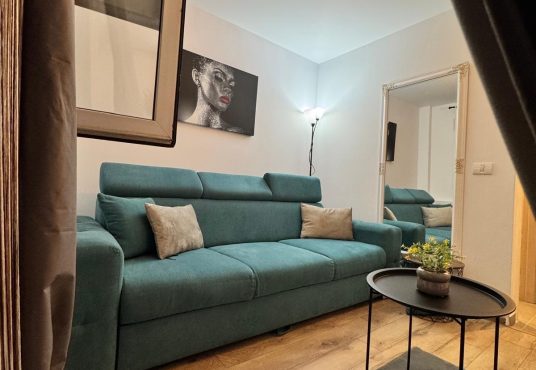 5b5f40af 03c7 4810 a027 7f321203c172 536x370 - De închiriat Garsonieră