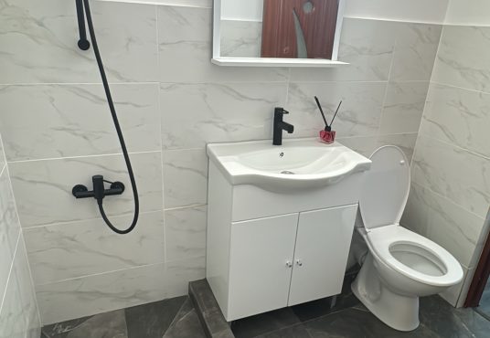 F7B5F7EA F1DF 4E6E BBC8 1C24AE2D2DBE 536x370 - Garsonieră drobeta turnul severin