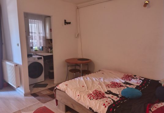 IMG 20250703 184214606 HDR 536x370 - Vând garsonieră zona Pronto