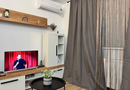 c1815e38 ec97 4dfa a768 4017fd3bd9f7 536x370 - De închiriat Garsonieră