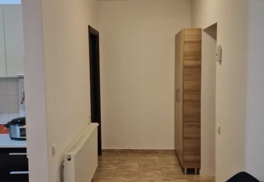 e7099980 9f89 4d17 9dee ee5ad6cc3378 536x370 - Vand garsoniera apusului residence