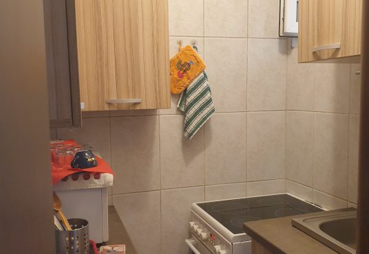 20210711 131616 536x370 - Garsoniera de inchiriat