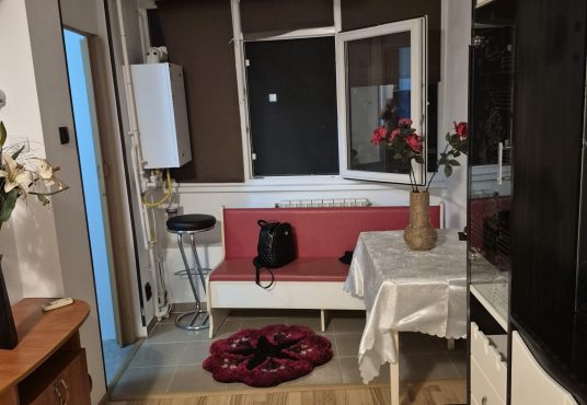 5db2c796 389b 4c75 964a 93b95cff6c6c 536x370 - Apartament 1 camera