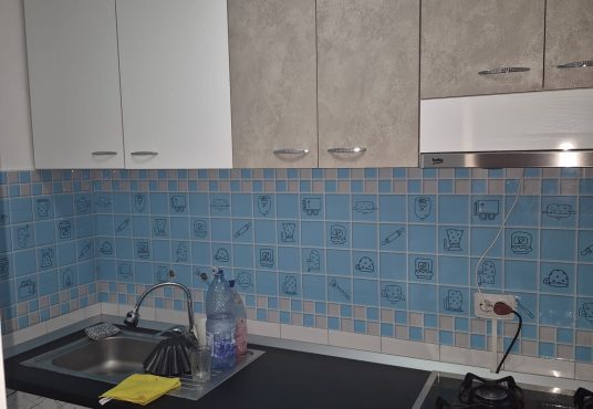 e1e04806 5cbb 4c5f abaa 006ae5e08908 536x370 - Apartament 1 camera