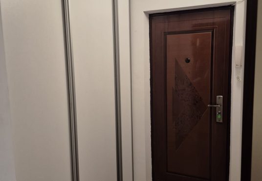 e5908e9c 8e2b 400e baf7 441ce1b3098a 536x370 - Apartament 1 camera